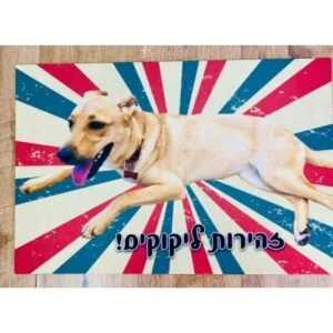 שטיח מודפס לכלב ולחתול - הפינה האהובה בביתשטיח בהדפסת חיות בית אהובות
